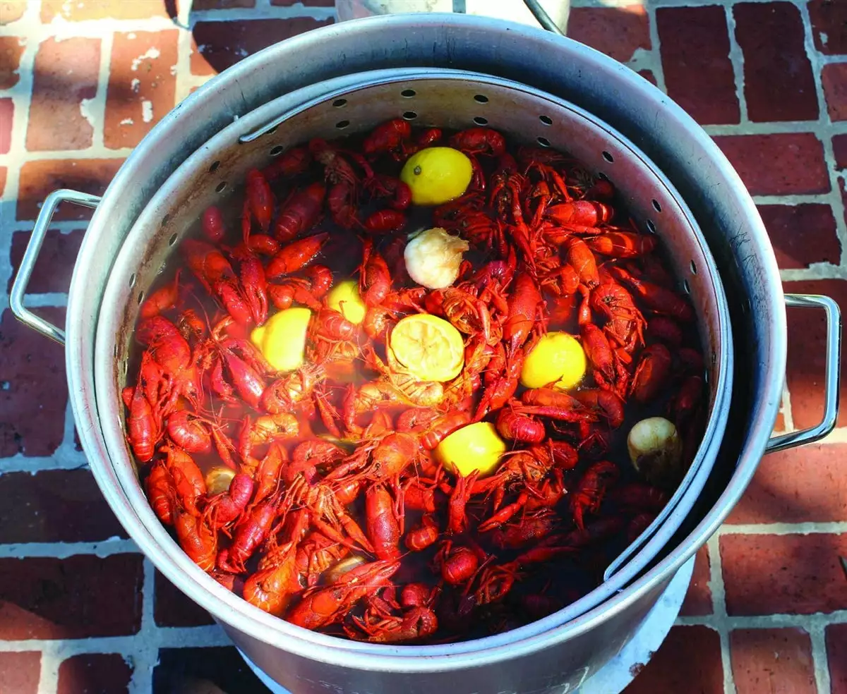 King Kooker Outdoor Double Jet Cooker Package With 120 Quart Aluminum Pot Stock Pots 2 King Kooker Outdoor Double Jet Cooker Package With 120 Quart Aluminum Pot Stock Pots